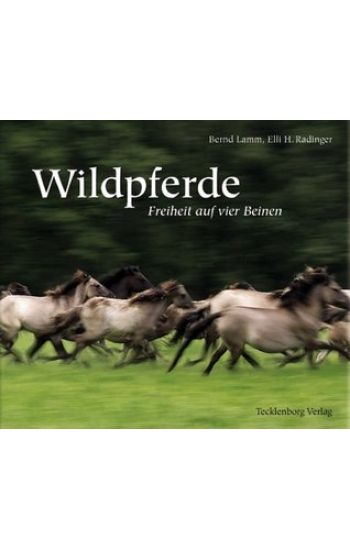 Wildpferde