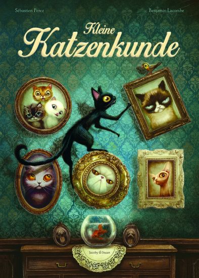 Kleine Katzenkunde