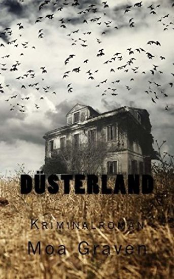 Düsterland: Kriminalroman