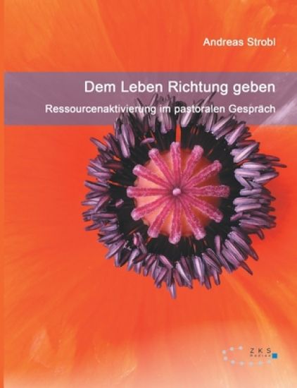 Dem Leben Richtung geben - Ressourcenaktivierung im pastoralen Gespräch