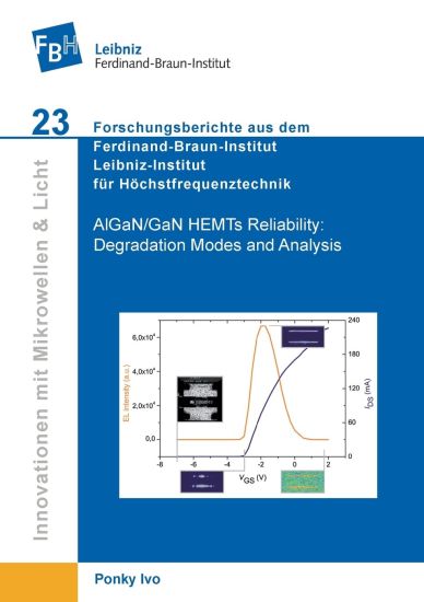 AlGaN/GaN HEMTs Reliability. Degradation Modes and Analysis