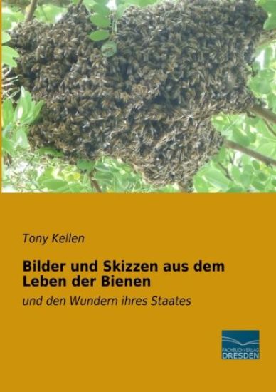 Bilder und Skizzen aus dem Leben der Bienen