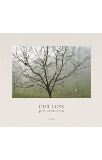 Joel Sternfeld: Our Loss
