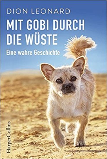 Mit Gobi durch die Wüste - eine wahre Geschichte
