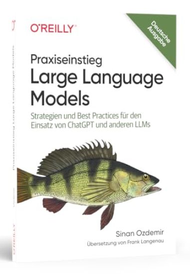 Praxiseinstieg Large Language Models