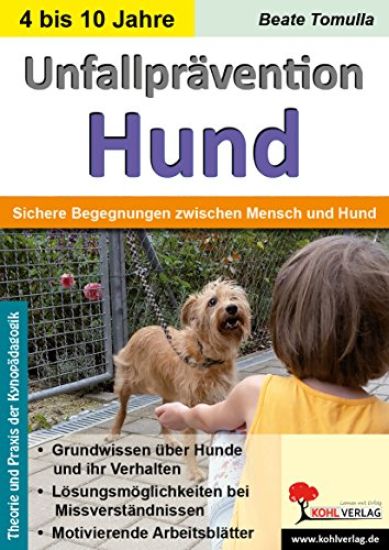 Unfallprävention Hund