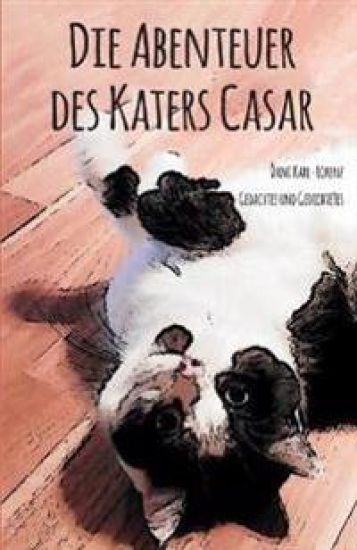 Die Abenteuer des Katers Casar