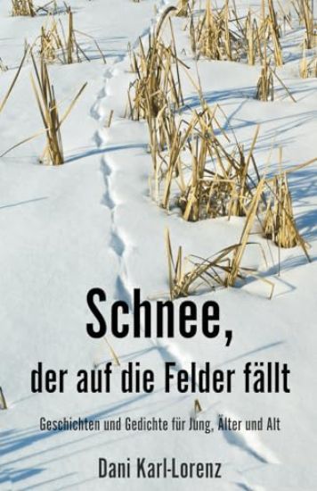 Schnee, der auf die Felder fällt