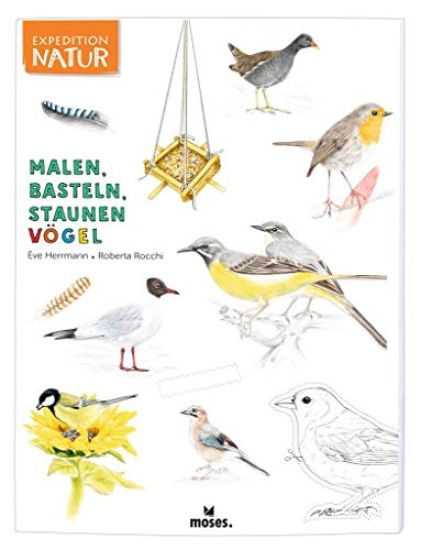 Herrmann, E: Expedition Natur: Malen, Basteln, Staunen - Vög