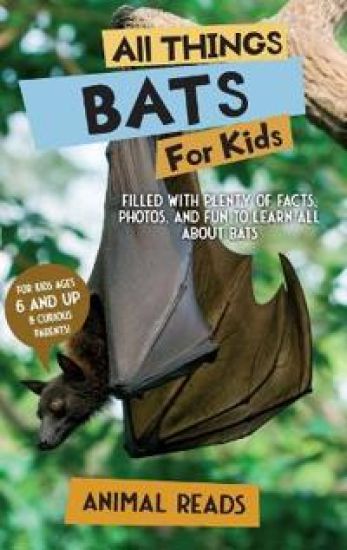All Things Bats For Kids