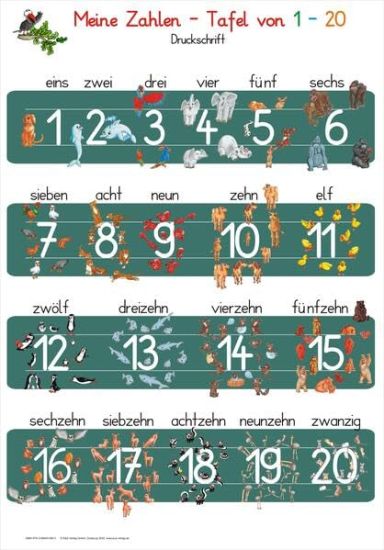 Momm, H: Meine Zahlen-Tafel von 1-20 Druckschrift