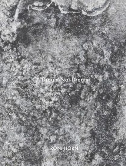 Roni Horn: A Dream Not Dreamt