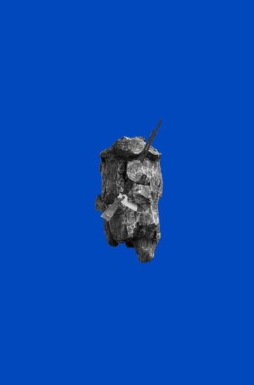 Catherine Biocca: Bonsai Feeling