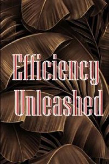 Efficiency Unleashed