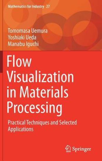 Flow Visualization in Materials Processing