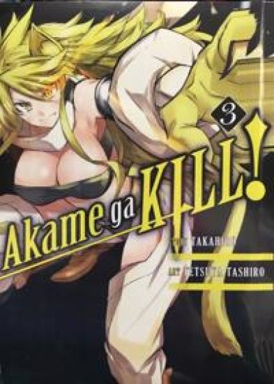Ubijtsa Akame. Akame ga Kill! 3 tom