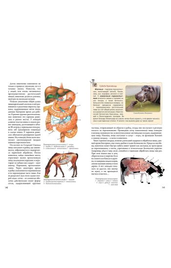 Neskuchnaja biologija s zadachami i reshenijami