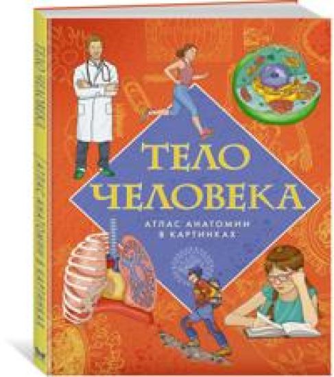 Telo cheloveka. Atlas anatomii v kartinkakh