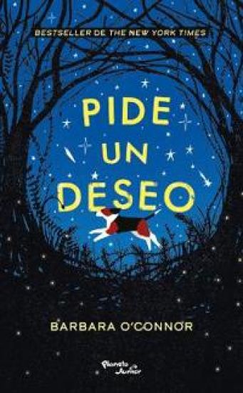 Kansikuva: Pide Un Deseo / Wish