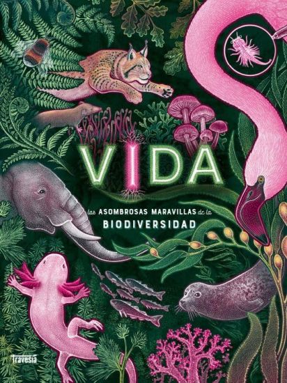 Vida: Las Asombrosas Maravillas de la Biodiversidad / Life: The Wild Wonders of Biodiversity