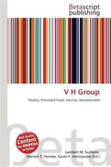 V H Group