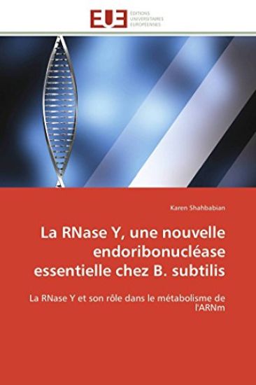 La Rnase Y, Une Nouvelle Endoribonucl?ase Essentielle Chez B. Subtilis