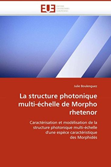 La Structure Photonique Multi-?chelle de Morpho Rhetenor