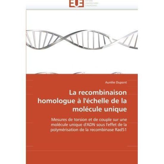 La Recombinaison Homologue ? l''?chelle de la Mol?cule Unique