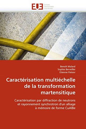Caract?risation Multi?chelle de la Transformation Martensitique