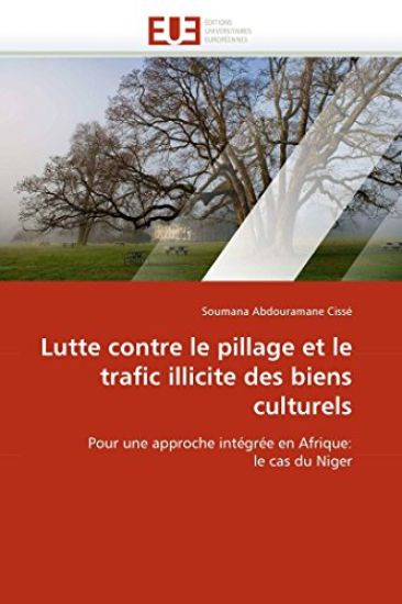 Lutte Contre Le Pillage Et Le Trafic Illicite Des Biens Culturels