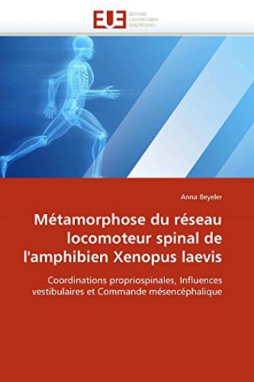 M?tamorphose Du R?seau Locomoteur Spinal de l''amphibien Xenopus Laevis