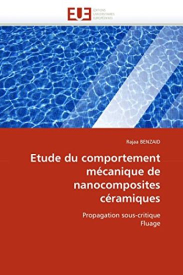Etude Du Comportement M?canique de Nanocomposites C?ramiques