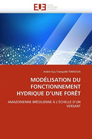 Mod?lisation Du Fonctionnement Hydrique d''une For?t