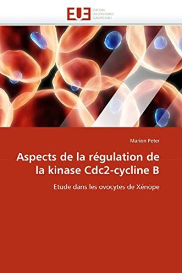 Aspects de la R?gulation de la Kinase Cdc2-Cycline B
