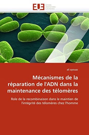 M?canismes de la R?paration de l''adn Dans La Maintenance Des T?lom?res