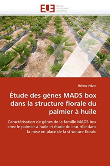 ?tude Des G?nes Mads Box Dans La Structure Florale Du Palmier ? Huile
