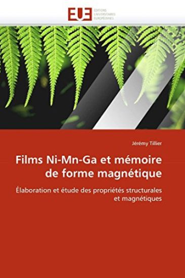 Films Ni-Mn-Ga Et M?moire de Forme Magn?tique