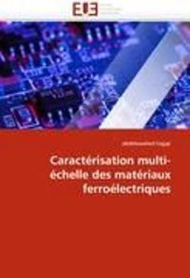 Caract?risation Multi-?chelle Des Mat?riaux Ferro?lectriques
