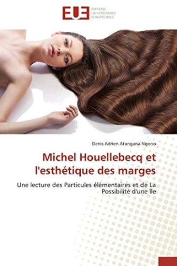 Michel Houellebecq Et l'Esth?tique Des Marges
