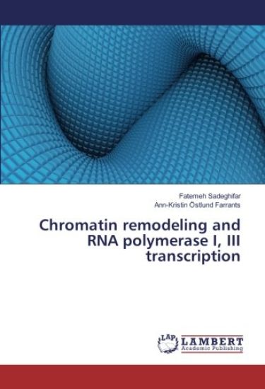 Chromatin remodeling and RNA polymerase I, III transcription