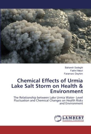 Chemical Effects of Urmia Lake Salt Storm on Health & Environment