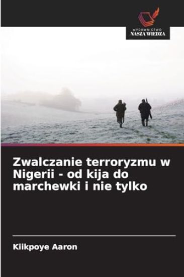 Zwalczanie terroryzmu w Nigerii - od kija do marchewki i nie tylko
