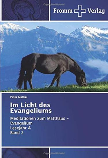 Im Licht des Evangeliums