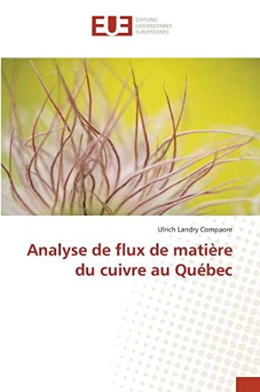 Analyse de flux de matière du cuivre au Québec