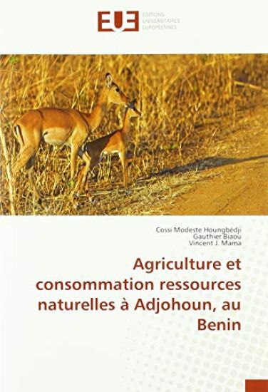 Agriculture et consommation ressources naturelles à Adjohoun, au Benin