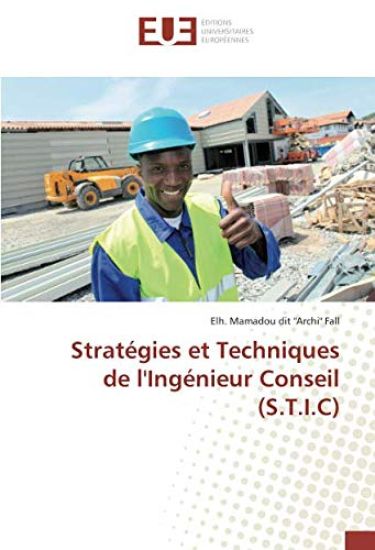 Stratégies et Techniques de l'Ingénieur Conseil (S.T.I.C)