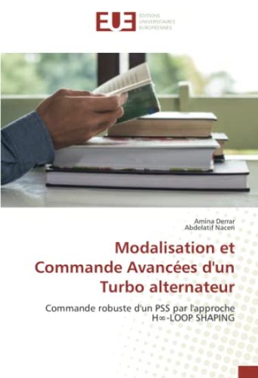 Modalisation et Commande Avancées d'un Turbo alternateur