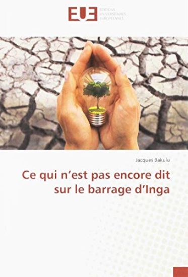 Ce qui n¿est pas encore dit sur le barrage d¿Inga