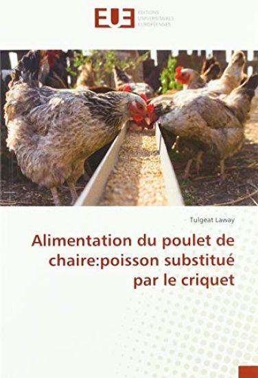Alimentation du poulet de chaire:poisson substitué par le criquet