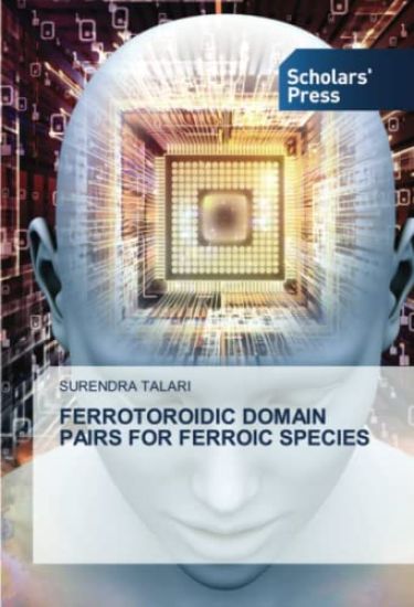 Ferrotoroidic Domain Pairs for Ferroic Species